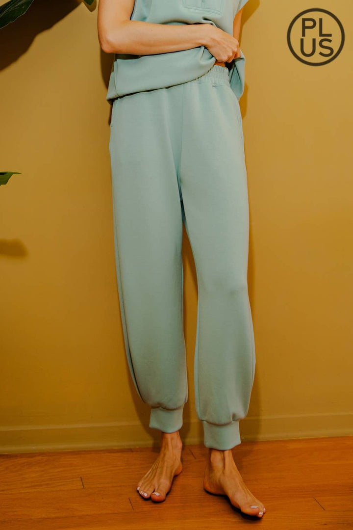 RAE MODE PLUS SIZE MODAL SCUBA FULL LENGTH JOGGER PANT - 3 COLORS