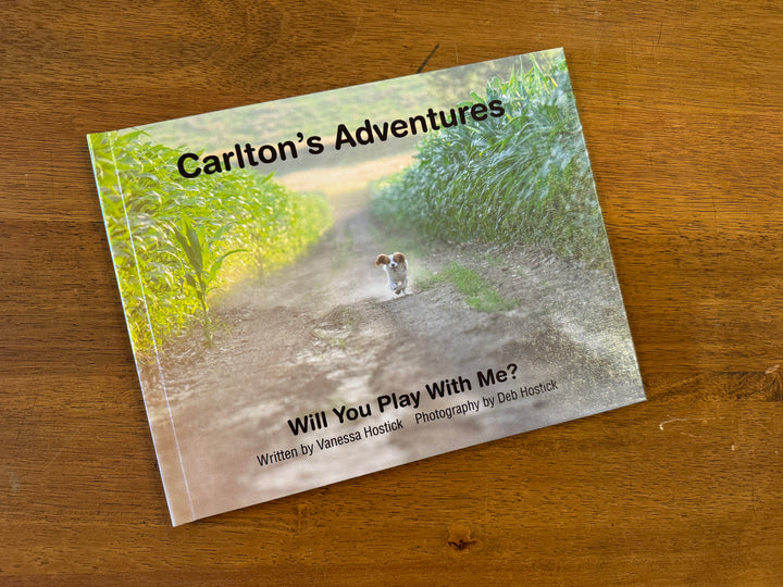 Carlton's Adventures: Will You Play With Me?