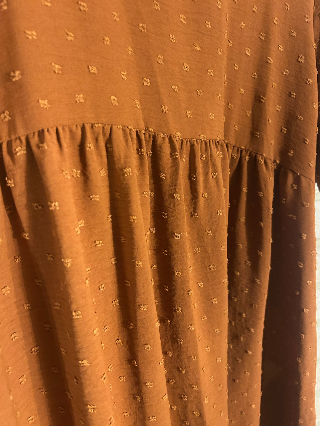 Rust Swiss Dot Babydoll Dress