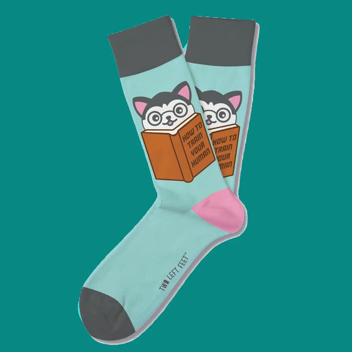 HOW TO TRAIN YOUR HUMAN EVERYDAY NOVELTY SOCKS