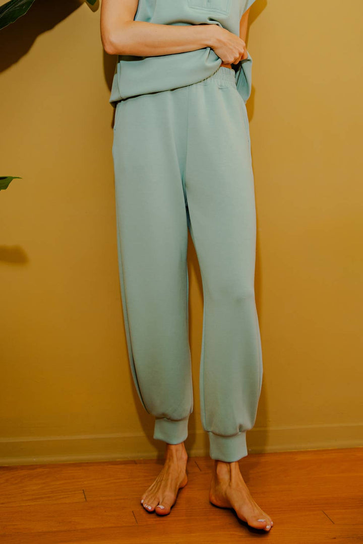 RAE MODE MODAL SCUBA FULL LENGTH JOGGER PANT - 3 COLORS
