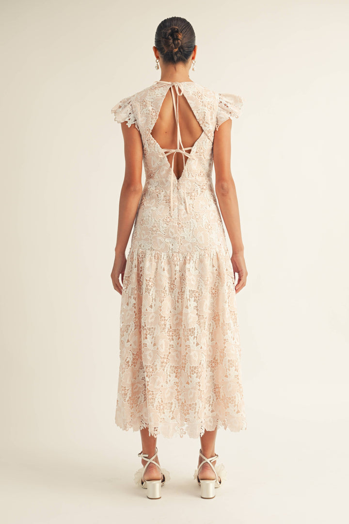 Rachael Flutter Sleeve Surplice Lace Midi Dress